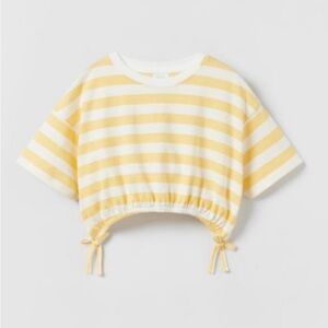 Zara Stripes Crop Top